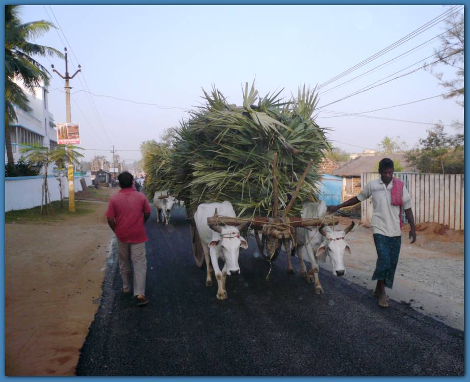 900x726 pixels (82K)